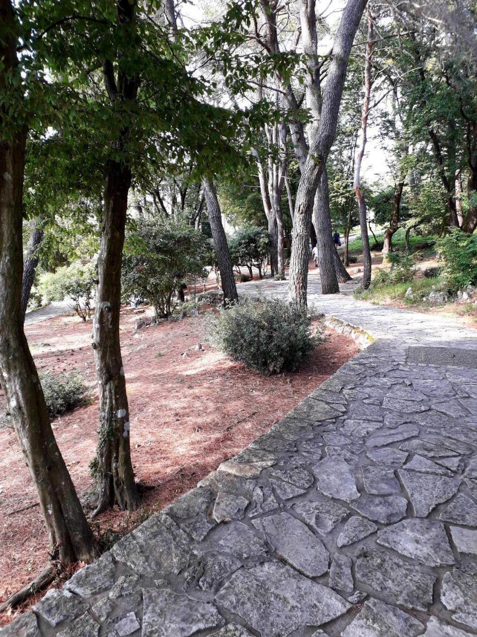 Apartments And Rooms Haludovo - Ribarsko Selo มาลินสกา ภายนอก รูปภาพ