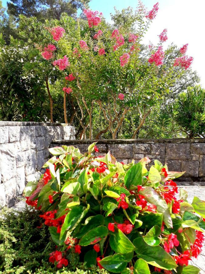 Apartments And Rooms Haludovo - Ribarsko Selo มาลินสกา ภายนอก รูปภาพ